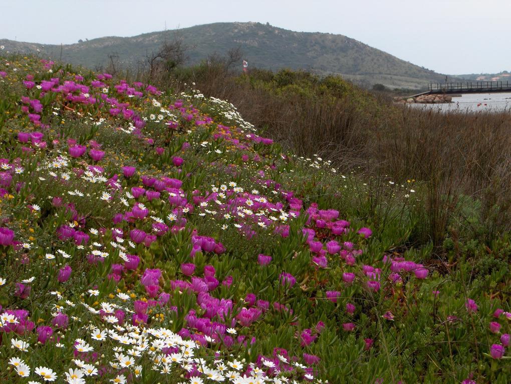 Casa Marina Maria Daire Murta Maria Dış mekan fotoğraf