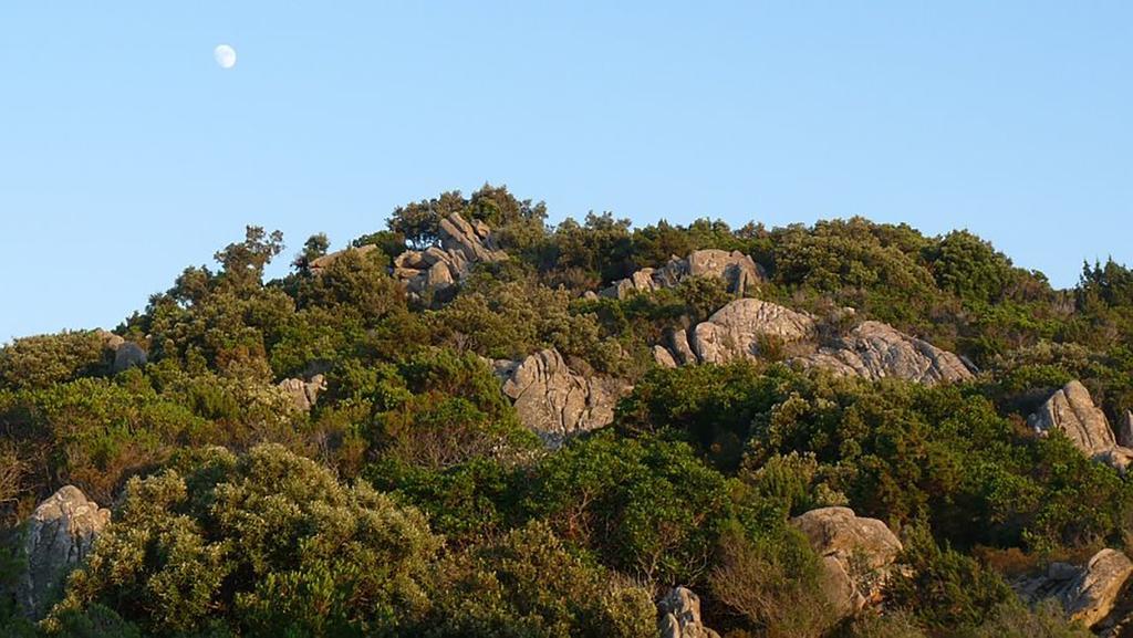Casa Marina Maria Daire Murta Maria Dış mekan fotoğraf