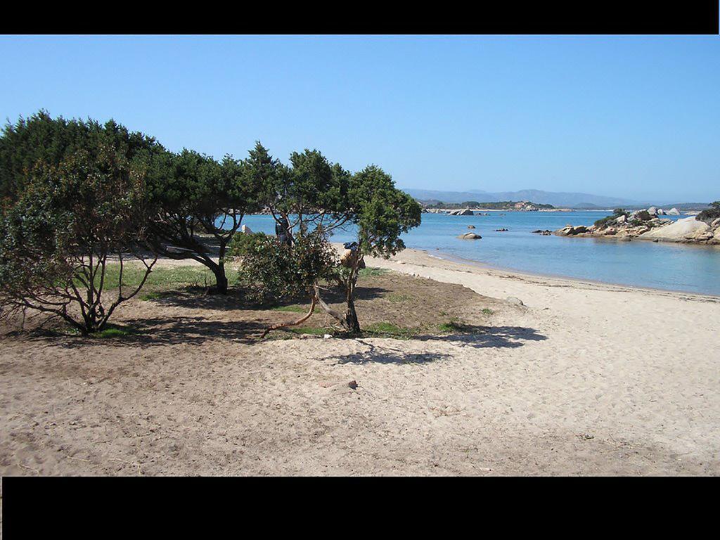 Casa Marina Maria Daire Murta Maria Dış mekan fotoğraf