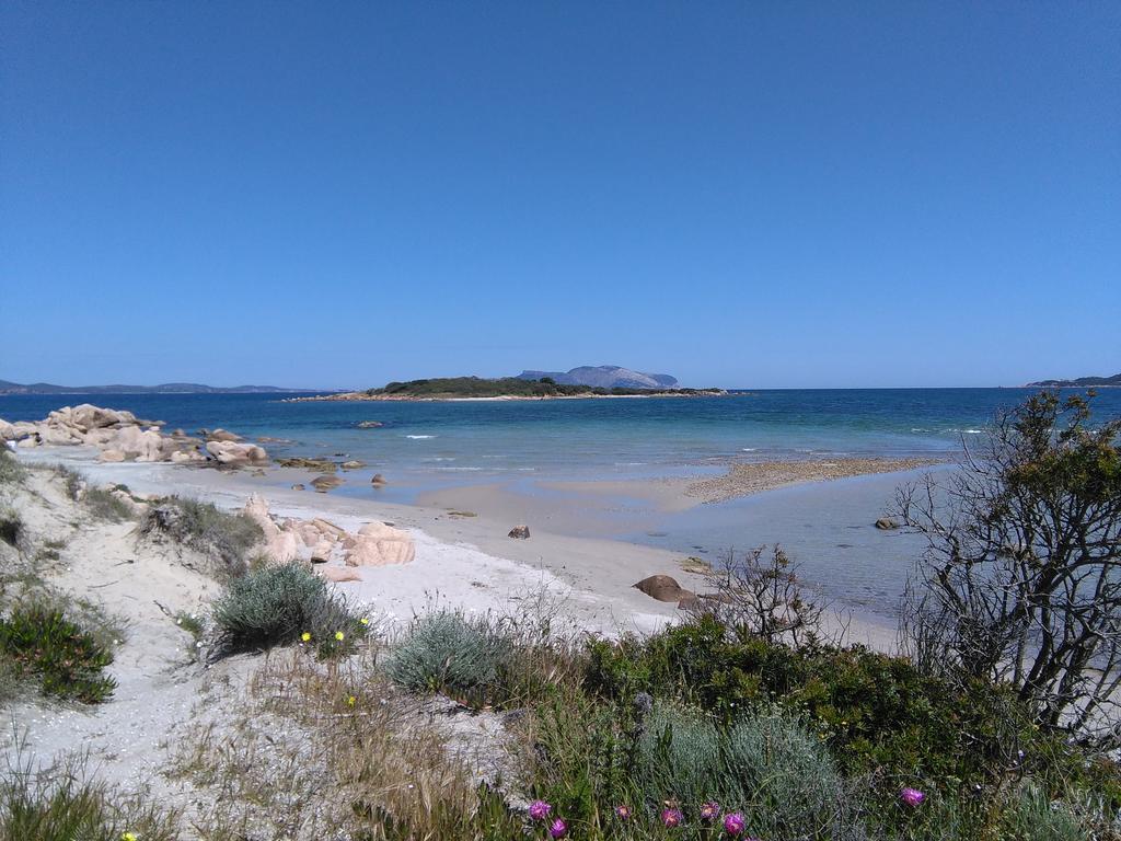 Casa Marina Maria Daire Murta Maria Dış mekan fotoğraf