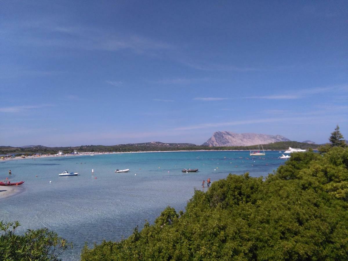 Casa Marina Maria Daire Murta Maria Dış mekan fotoğraf